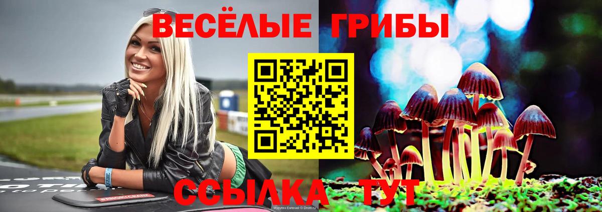 Псилоцибиновые грибы мухоморы Реж